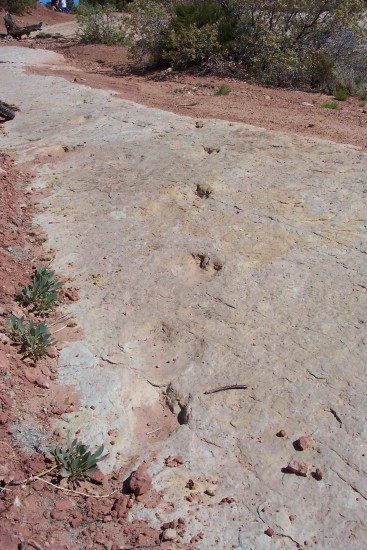 Copy of Moab041204_0112.jpg